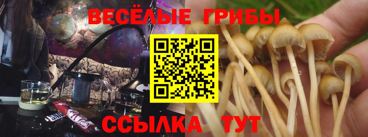Псилоцибиновые грибы прущие грибы  Вход с VPN  наркота  Южноуральск 